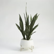 D&W Silks Medium Mother-In-Law'S Tongue in White Glass Bowl with Stand