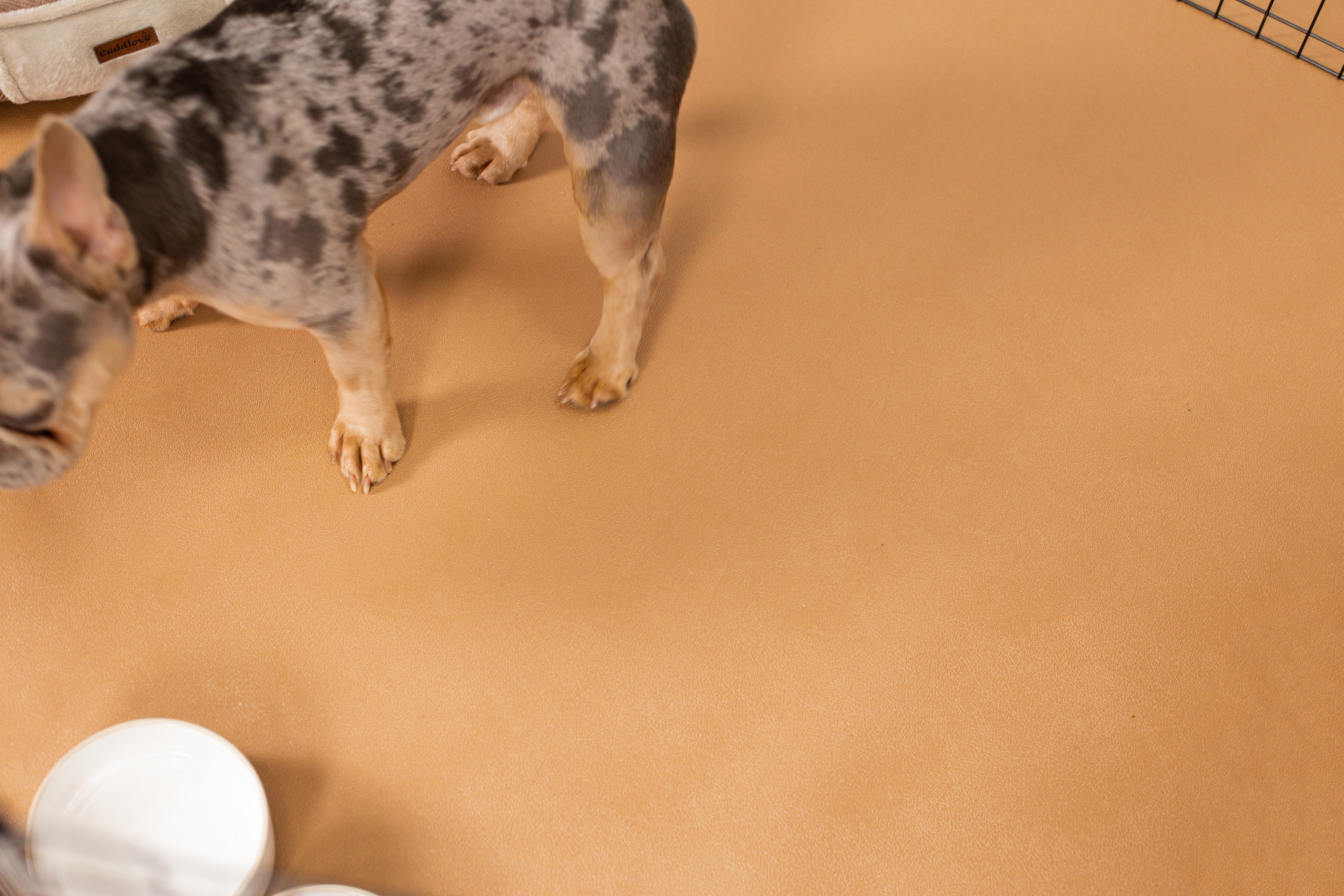 G-Floor 5' x 10' Vinyl Levant Pet Friendly Carpet Protector for Dogs & Cats - Sandstone