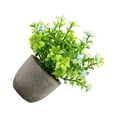 thumbnail image 2 of Decodeary Green Eco-friendly Artificial Money Tree In Pot Long-lasting Durability Realistic Appearance blue babysbreath 1Set, 2 of 6