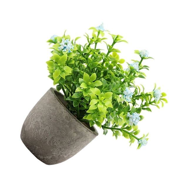 kurtrusly Realistic Artificial Succulent Low Maintenance Elegant Easy To Clean Artificial Money Tree In Pot blue babysbreath 1Set