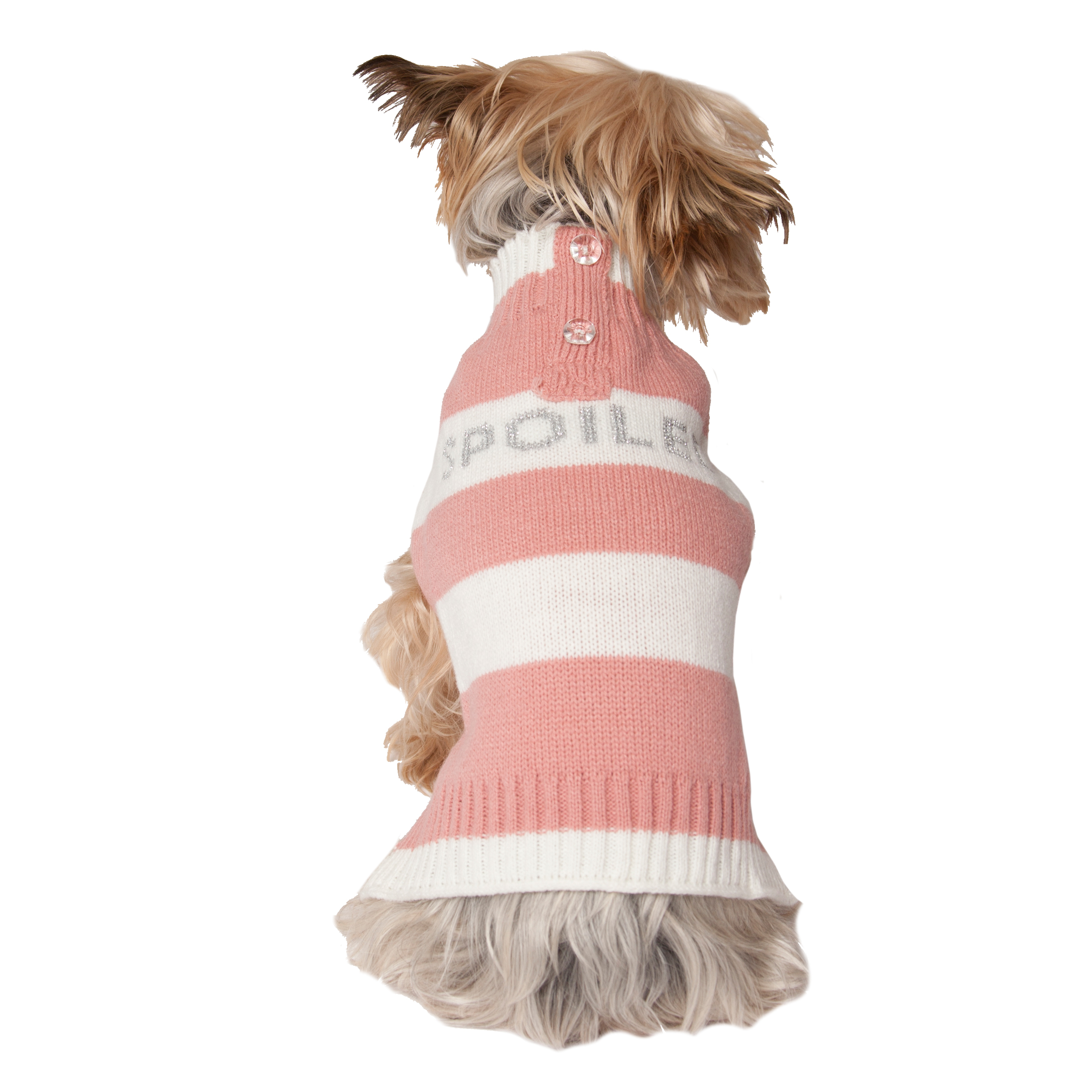 Vibrant Life Fall Blush Spoiled with Buttons Dog Sweater