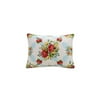 The Pioneer Woman Vintage Floral 2-Piece Quilt Sham Set, Standard
