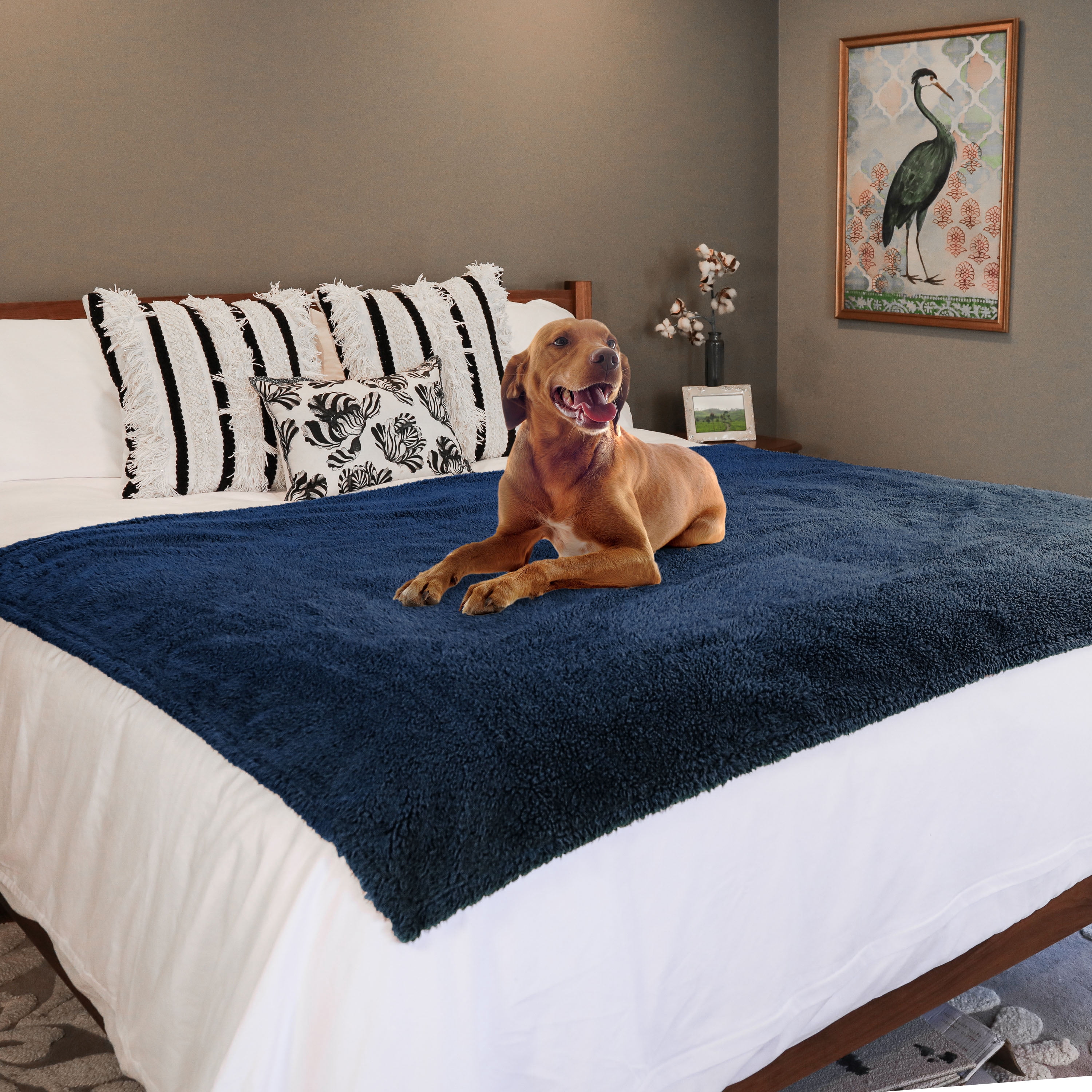 rocket & rex Extra Large Waterproof Dog Blanket, Blue, Washable Waterproof Pet Blanket Protects Beds, Couches & Other Furniture, Premium Fleece Fabric with Reversible Faux Suede, 56" x 73" (Pack of 1