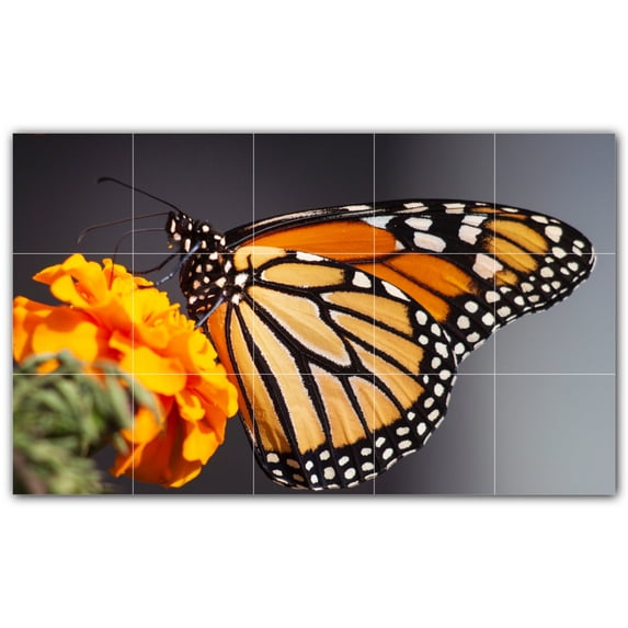 Picture-Tiles.com: Butterfly Ceramic Tile Wall Mural WAL500283-53M. 30"W x 18"H using (15) 6" x 6" Ceramic Tiles-Satin Finish