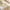 Beige, variant on Clearance under $5 Tyidzon Cheese Cloth Table Runner, Gauze Boho Table Runner 35.43X118 Inch Table Runners for Wedding, Party, Bridal Wedding Decoration