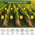 thumbnail image 2 of Lantuu 10-Pack Yellow Sticky Traps, Double-Sided Waterproof Insect Catcher, Non-Toxic Glue Traps for Flying Insects, Fungus Gnats, Fruit Flies, Aphids, Thrips, for Indoor/Outdoor Plants, 2 of 6