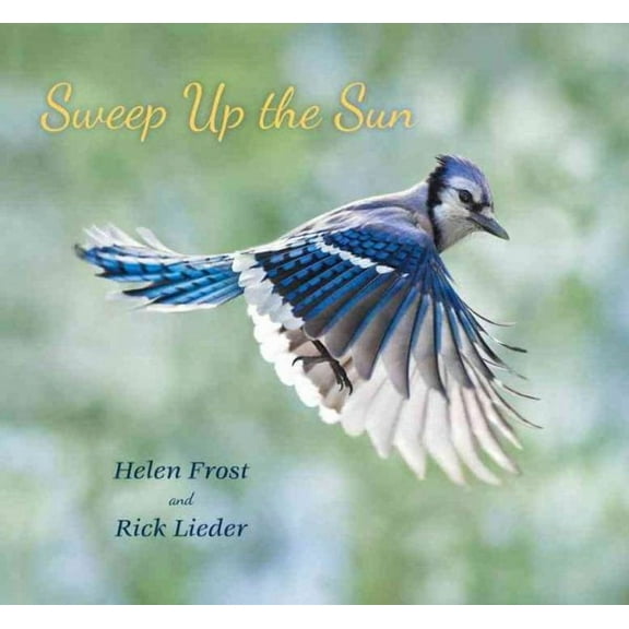 Step Gently, Look Closely: Sweep Up the Sun (Hardcover)