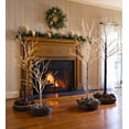thumbnail image 2 of Plow & Hearth Large Indoor/Outdoor Birch Tree with 600 Warm White Lights, 2 of 2