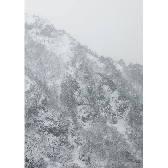 Keiko Sasaoka: Presence, (Hardcover)