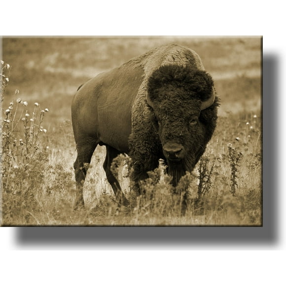Image de Bison Américain, Faite sur Toile Tendue, Décoration Murale, Prête à Accrocher!