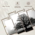 thumbnail image 6 of Elephant Stock Tree In Mist Wall Art - Horizontal Multi Panel Canvas - Living Room Wall Decor - Floral And Botanical Multi Panel - Black And Gray Decor By Photoinc Studio - 68" x 42", 6 of 8