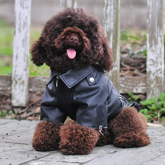 Toyvian Large Dog Jacket PU Leather Water Repellent Windproof for Winter 1Set