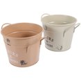 thumbnail image 1 of IDEANATEGRATE 2Ud Cubeta Decorativa De Hierro Para Plantas Con Vintage Y Uso Multifuncional, 1 of 7