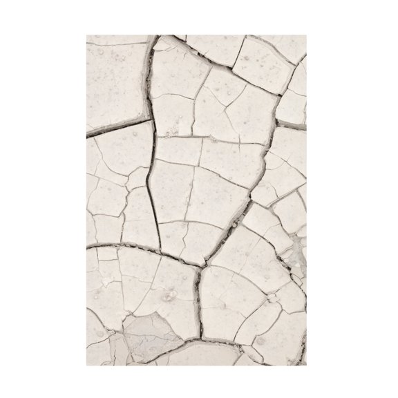 Trademark Fine Art Pictufy Studio Clay Wall Light Sand Canvas Wall Art