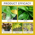 thumbnail image 3 of Rooting Tool for Outdoor Use - Quick Rooting Solution to Enhance Growth - 50ml Capacity Growth Promoter, 3 of 8