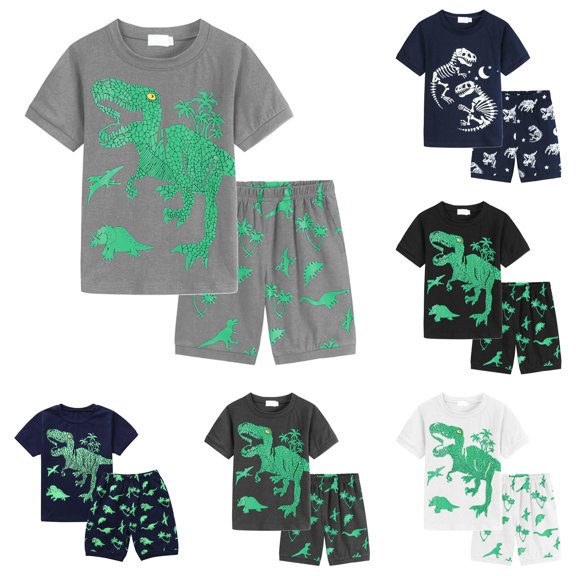 WhouRiu Boys Casual Outfits Short Sleeve Dinosaur Graphic Tees And Shorts Sets Kids Summer Clothes