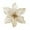 Gold, variant on Christmas Glitter Poinsettia Flowers Xmas Tree Ornaments - 12PCS Artificial Christmas Flower for Christmas Tree Wreath Garland Decoration (5.91 inches in Dia)