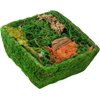 Square Fairy Garden Display, DIY Dried Moss Enchanted Landscape Terrarium Starter Kit