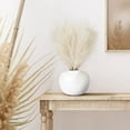 thumbnail image 4 of Better Homes & Gardens 14" Artificial Pampas in White Rounded Ceramic Vase, 4 of 5