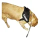 thumbnail image 3 of Arnes Para Perros Razas Grandes Personalizados Uso Rudo, 3 of 4