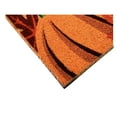 thumbnail image 5 of Calloway Mills 107161729 17 x 29 in. Pumpkin Spice Rectangular Doormat, Multi Color, 5 of 7