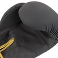 thumbnail image 4 of Par de Guantes de Boxeo Fire Sports PVC Línea Fire One Dorado Negro, 4 of 4