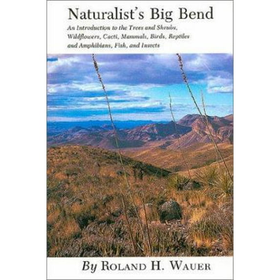 Pre-Owned Naturalist's Big Bend (Paperback) 0890960704 9780890960707