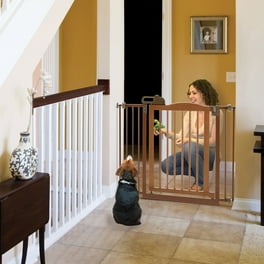 Hayneedle pet gates online