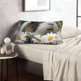 thumbnail image 6 of Balery Daisy Guinea Pig Bedding Queen Pillow Cases - Envelope Closure - Soft Brushed Microfiber Fabric - Shrinkage and Fade Resistant Pillow Cases-20"x30", 6 of 6