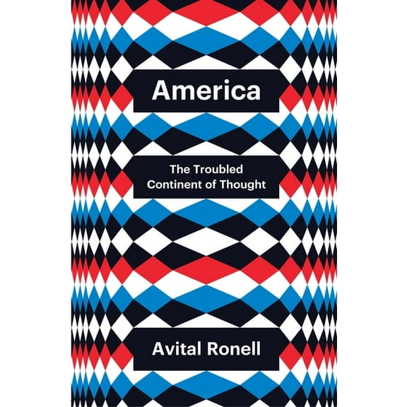 Theory Redux America: The Troubled Continent of Thought, (Paperback)