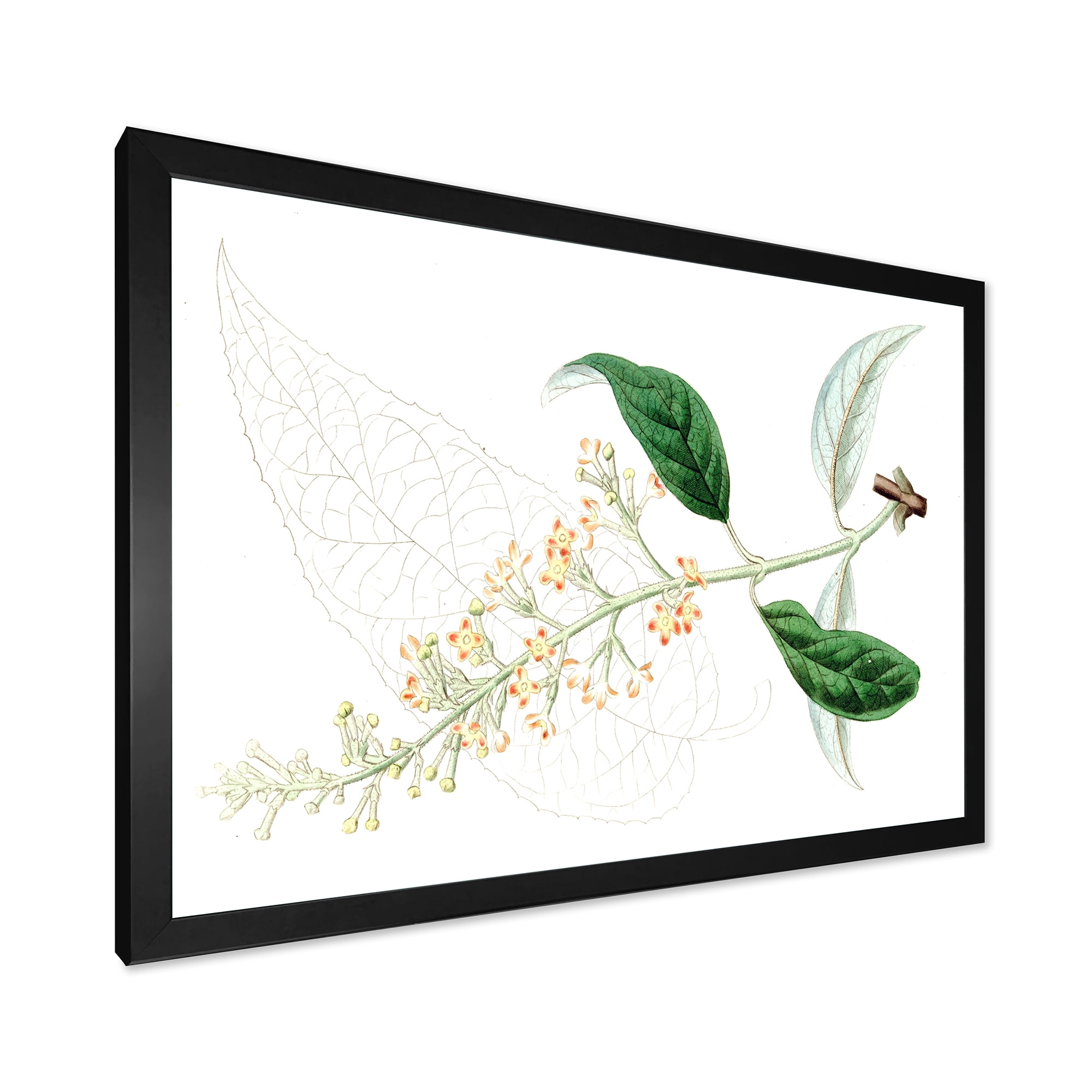 Designart 'Ancient Plant Life XXVII' Traditional Framed Art Print