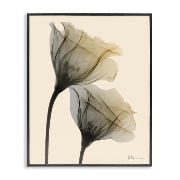 Stupell Industries Modern Neutral Light Flower Photograph Black Framed Giclee Art, 11 x 14, by Albert Koetsier