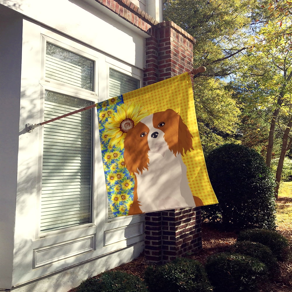 Summer Sunflowers Blenheim Cavalier Spaniel Flag Canvas House Size 28 in x 40 in