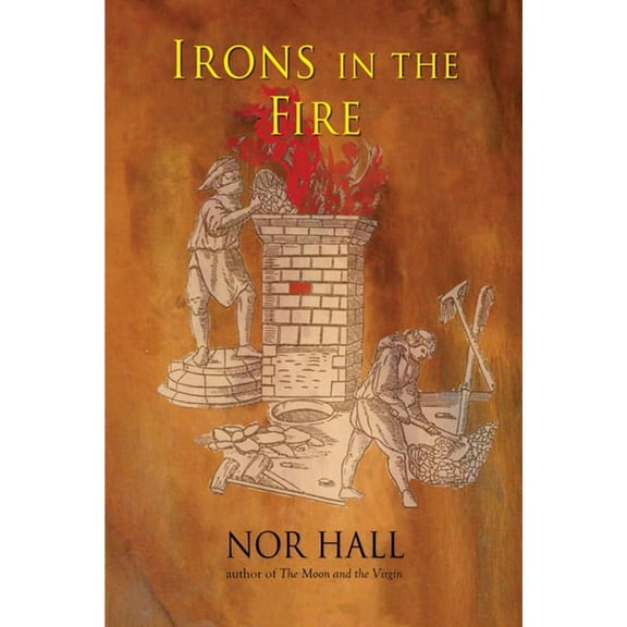 Irons in the Fire (Edition 2) (Paperback)