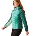 thumbnail image 3 of Regatta Womens Dalent Quilted Hooded Jacket, 3 of 5