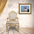 thumbnail image 3 of Fitzharris, Tim 24x19 Gold Ornate Wood Framed with Double Matting Museum Art Print Titled - Atlantic Puffin II, 3 of 4