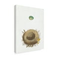 thumbnail image 2 of Trademark Fine Art 'Spring Nest I' Canvas Art by Wild Apple Portfolio, 2 of 3