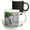 Multicolor, variant on 3drose, Usa, Wy. White-tailed Jackrabbit Scratches Behind Its Ear., 11oz Mug