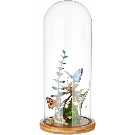 4.6x12inch Eternal Transparent Flower Glass Cover Glass Display Dome Cloche Jar with Sandy Brown Solid Wood Base for DIY Flower Craft