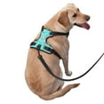 thumbnail image 3 of Picia Seashell And Starfish No-Pull Dog Harness Reflective Front Clip Vest with Handle,Step-in Air Dog Harness,Adjustable 2 Metal Rings 4 Buckles,Easy to Put on & Take Off X-Large, 3 of 9