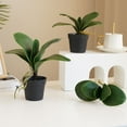 thumbnail image 3 of MesaSe Simulation Leaves Non-Wilting Fake Phalaenopsis Orchid Leaves Home Decor, 3 of 10