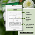 thumbnail image 2 of Polar Bear Zinnia Seeds - Non GMO Heirloom Varieties for your Flower Garden - 4 Pack, 2 of 5