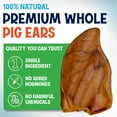 thumbnail image 4 of Large Pig Ears for Dogs 100 Pack –Single Ingredient Dog Treats – Long Lasting Chew by Fetcheroni, 4 of 8