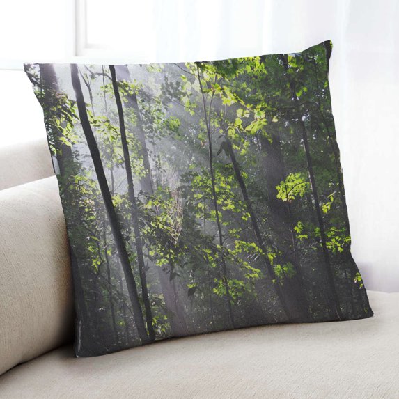 Ahgly Company State Kentucky Indoor Throw Pillow, 18 inch by 18 inch