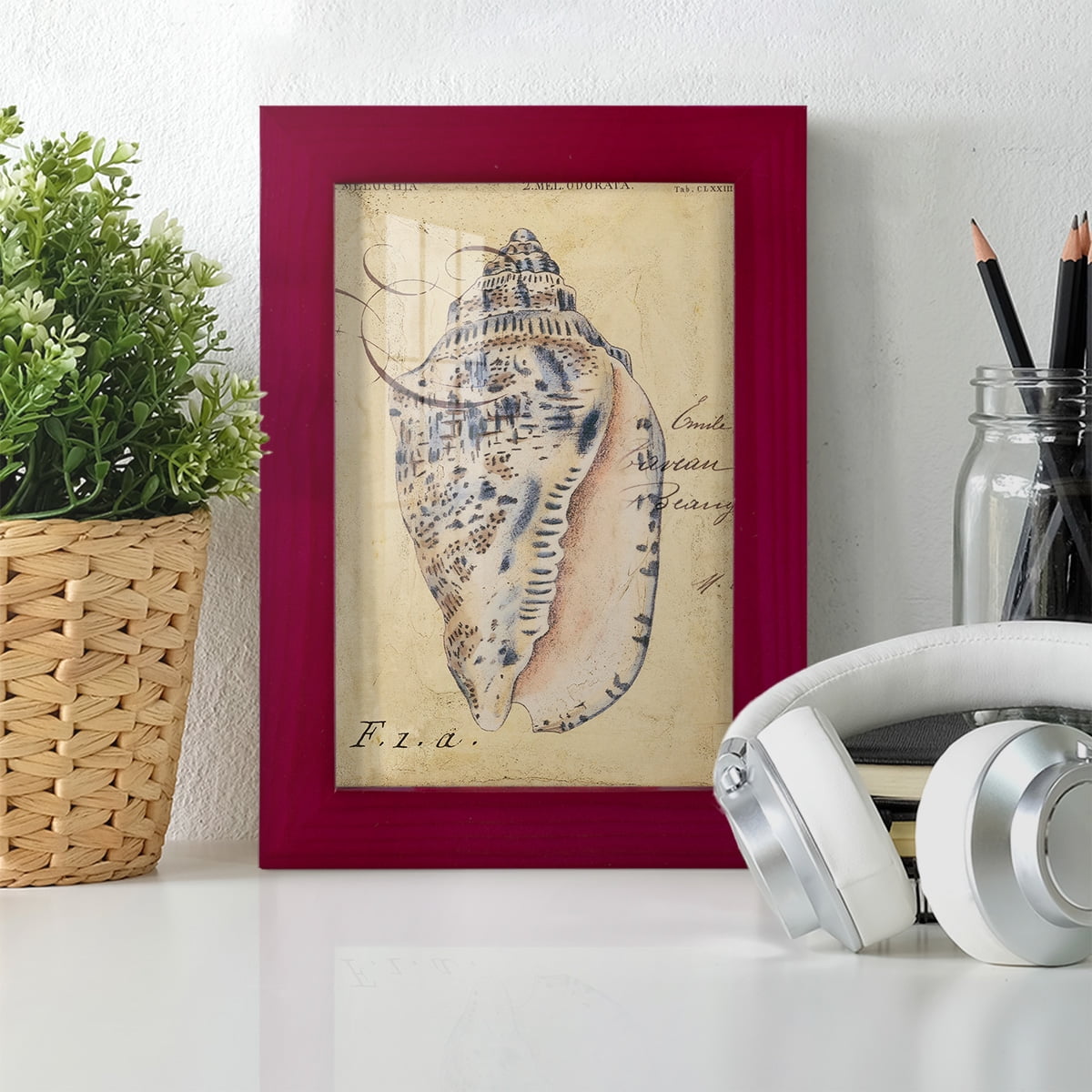 Seashell Ephemera I - Framed Print w/glass - Cherry Red