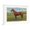 White Frame, variant on Art.com Man O'War, Kentucky Thoroughbred Art Print, White Frame Wall Art, 44" x 32"