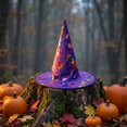 thumbnail image 5 of Halloween Shiny Glitter Satin Pointed Witch Hat with Wide Brim, Wizard Costume Accessory, Eye-catching Headwear for Halloween Party, Holiday Dress Up & Celebrations Purple, 5 of 5