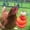 CA, variant on Veeogra Clearance items,Home Essentials,Steel Toy Feeder Stainless Food Hanging Fruit Vegetable Chicken Tools & Home Improvement,Garden Tools