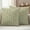 Light Beige Grass Green, variant on Light Blue Floral Outdoor Waterproof Throw Pillow Covers 24x24 Set of 2, Rustic Vintage Flowers Botanical Spring Decorative Pillowcases Cushion Pillowcase for Couch Sofa Patio Pillow Protector
