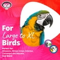 thumbnail image 3 of Super Bird Creations SB439 Beakasaurus Bird Toy - Vibrant Bird Toy for Macaws, Parrots, Eclectus & African Greys with Chewable Elements - Perfect Toy for Beak Health - Large to XL Bird Size, 3 of 7